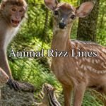 Animal Rizz Lines