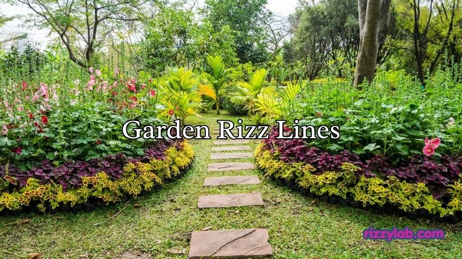 Garden Rizz Lines
