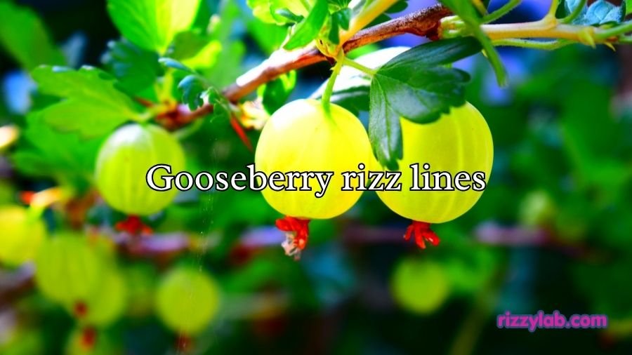 Gooseberry rizz lines