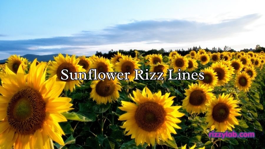 Sunflower Rizz Lines